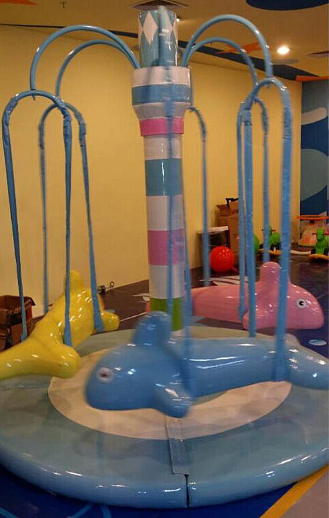 Rotating Dolphins