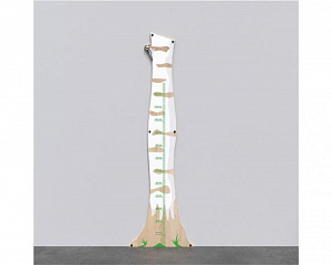 Арктика Система Birch ruler