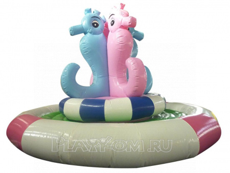 Rotating Sea Horse