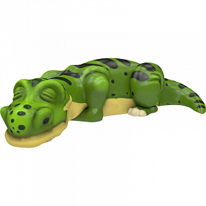 Crocodile